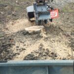 Wurzelstockentfernung